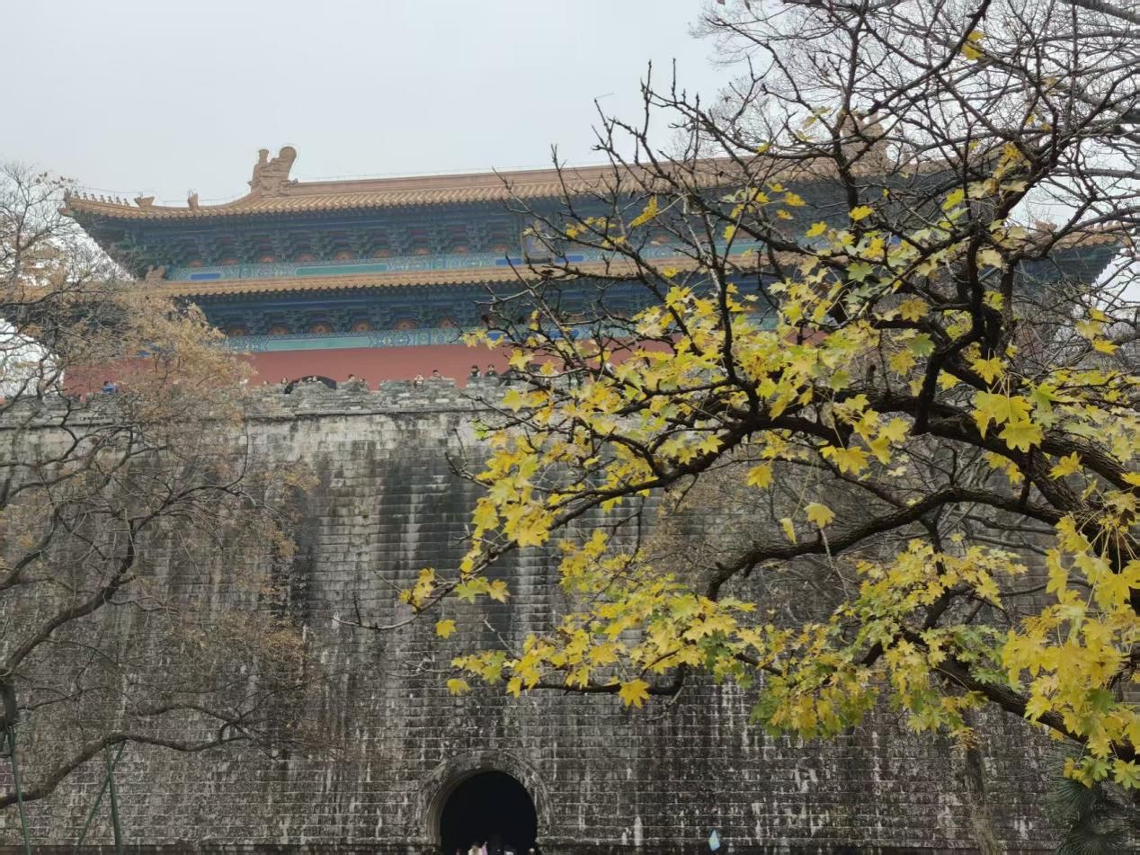 微信图片_20260323210156_16328_992
