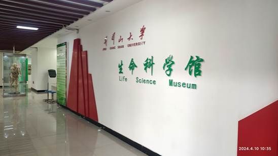 IMG_20240410_103559(1)